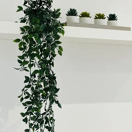 Cosy Apartment